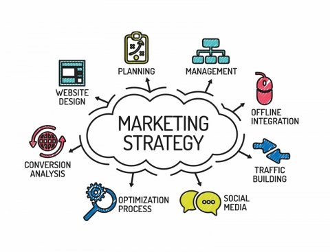  Xây dựng chiến lược Marketing hiệu quả